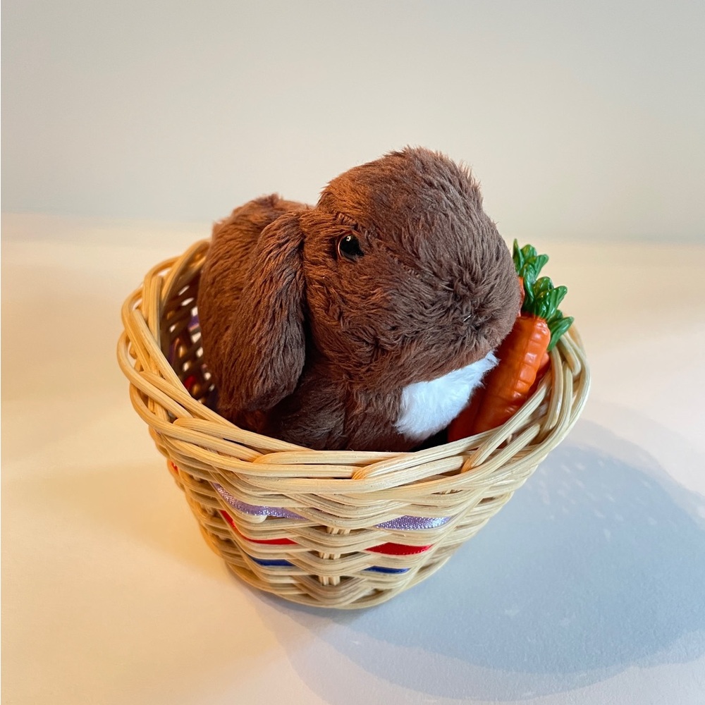 American Girl Doll Julie Albright Pet Bunny Nutmeg Full Set